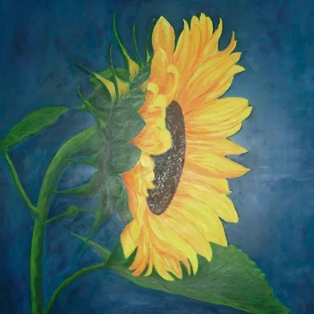 Il Girasole *